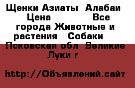 Щенки Азиаты (Алабаи) › Цена ­ 20 000 - Все города Животные и растения » Собаки   . Псковская обл.,Великие Луки г.